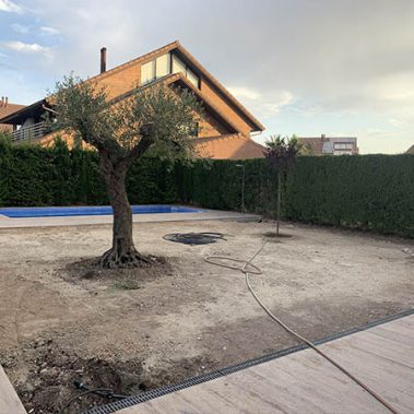 construccion de jardines Zaragoza