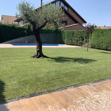 diseño de jardines en Zaragoza