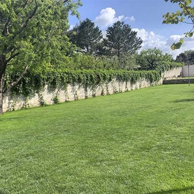 diseño y mantenimiento de jardines